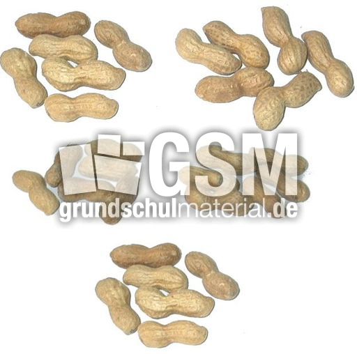 Erdnüsse-5x6.jpg